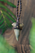 Mako shark tooth necklace