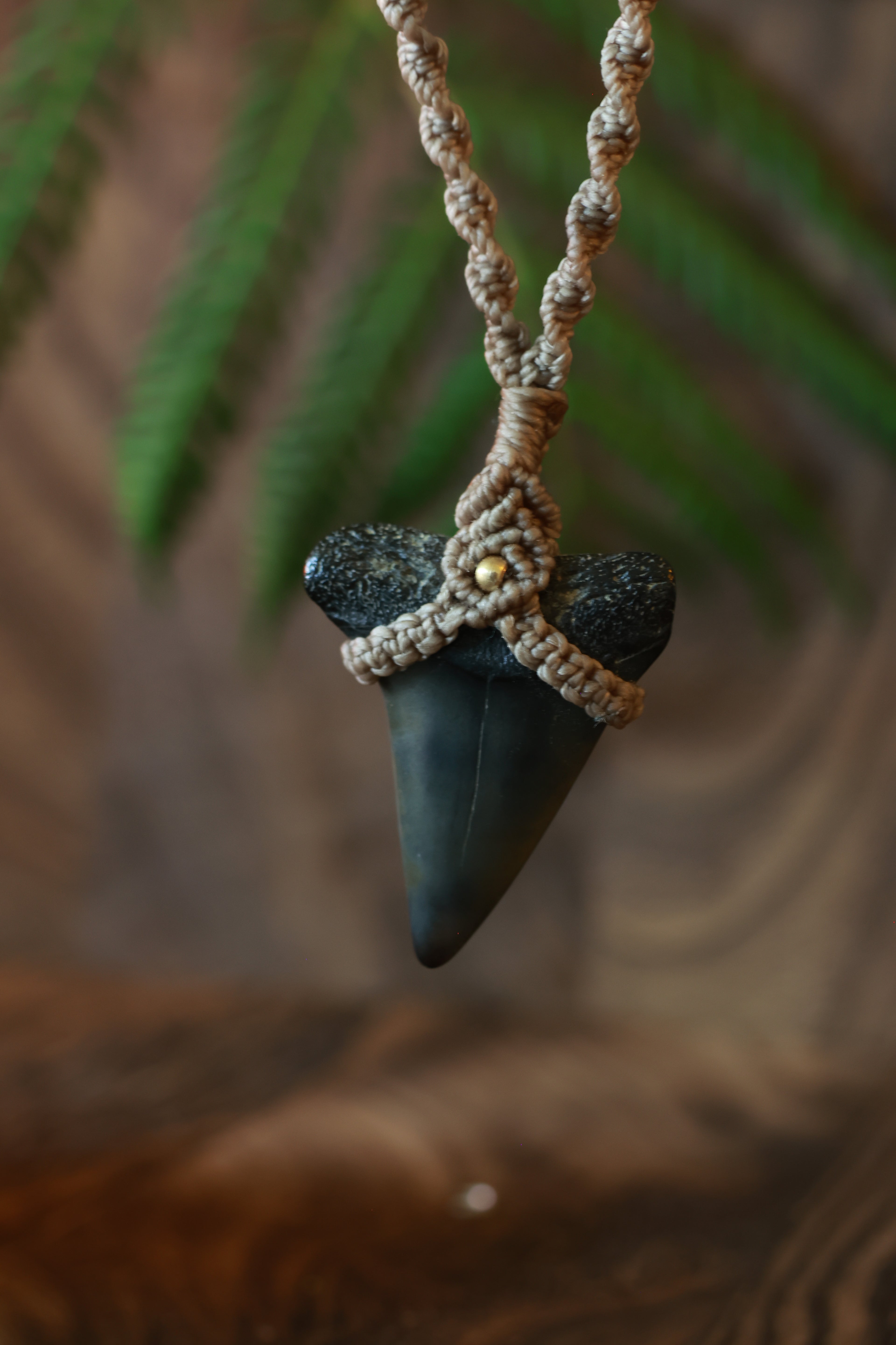 Mako shark tooth necklace