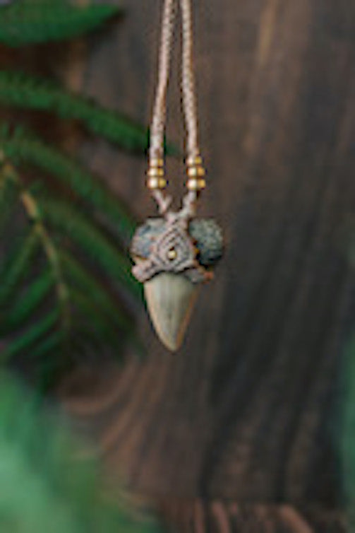 Mako shark tooth necklace