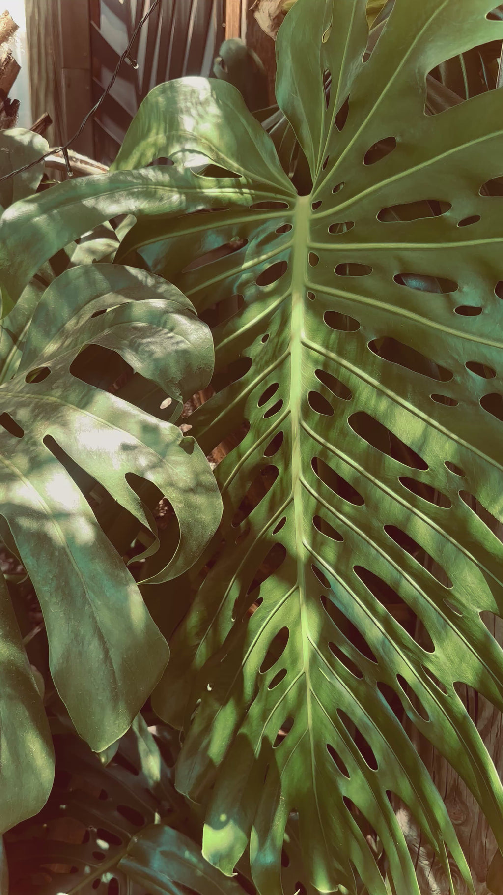 Chrysocolla Turquoise triple pendant